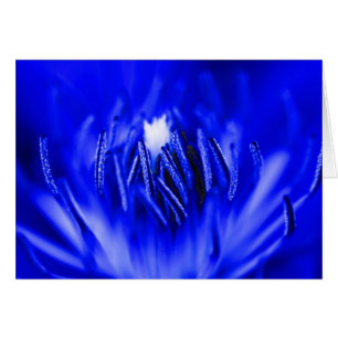 Innerhalb-EIN-Blume Blau