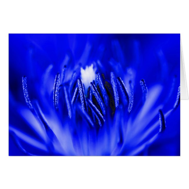 Innerhalb-EIN-Blume Blau (Vorderseite (Horizontal))