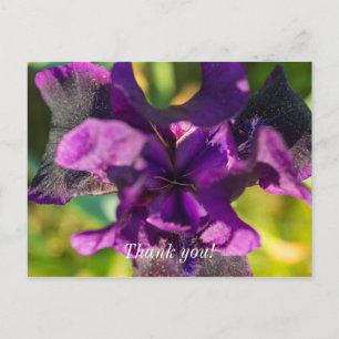Innerhalb einer Iris Danke Postkarte