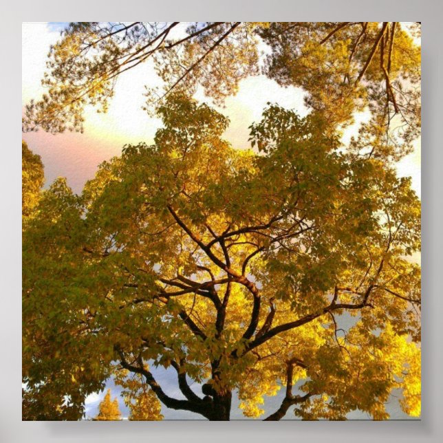 innerhalb poster (Vorne)