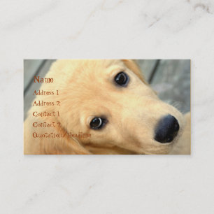 Innocent Abby Business Card Visitenkarte