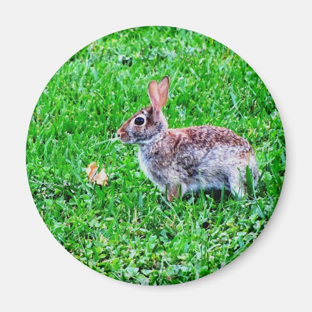 Innocent Eyes Magnet (Vorne)