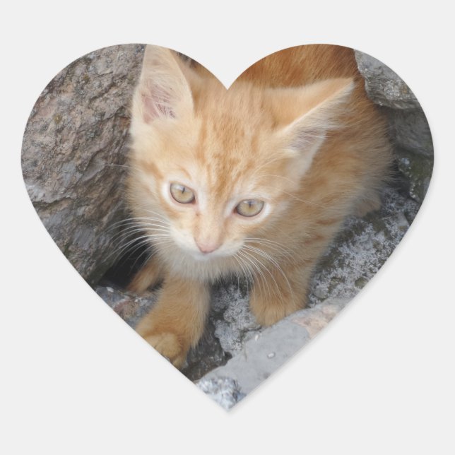 Innocent Kitten Heart Sticker (Vorderseite)