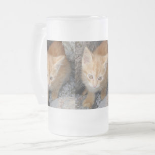 Innocent Kitten Mattiert 16 oz Mattiert Glass Tass Mattglas Bierglas