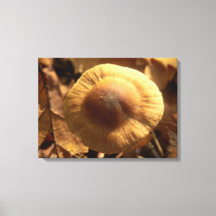 Inocybe napipes Mushroom Canvas Print Leinwanddruck