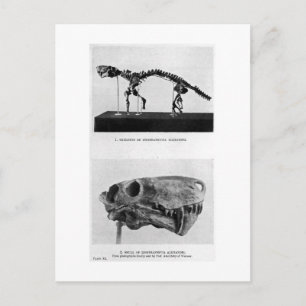 Inostrancevia alexandri Posta Postkarte