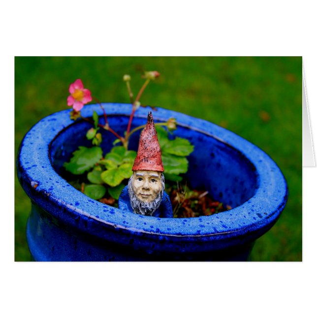 Inquisitives Gnome (Vorderseite (Horizontal))