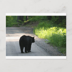 ins Licht gehen Postkarte
