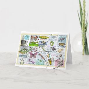 Insect Alphabet Karte