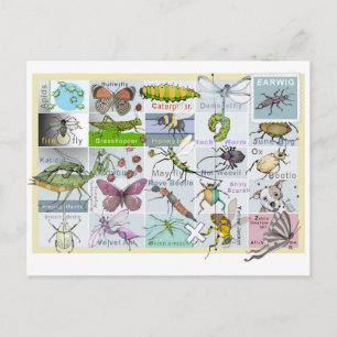 Insect Alphabet Postkarte