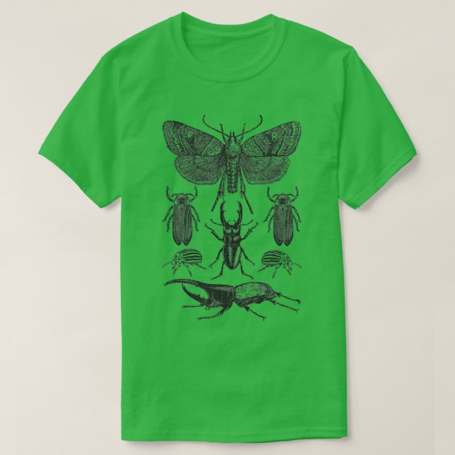 Insect Bug Collection Shirt Moth Stag Käfer Cicad (Design vorne)