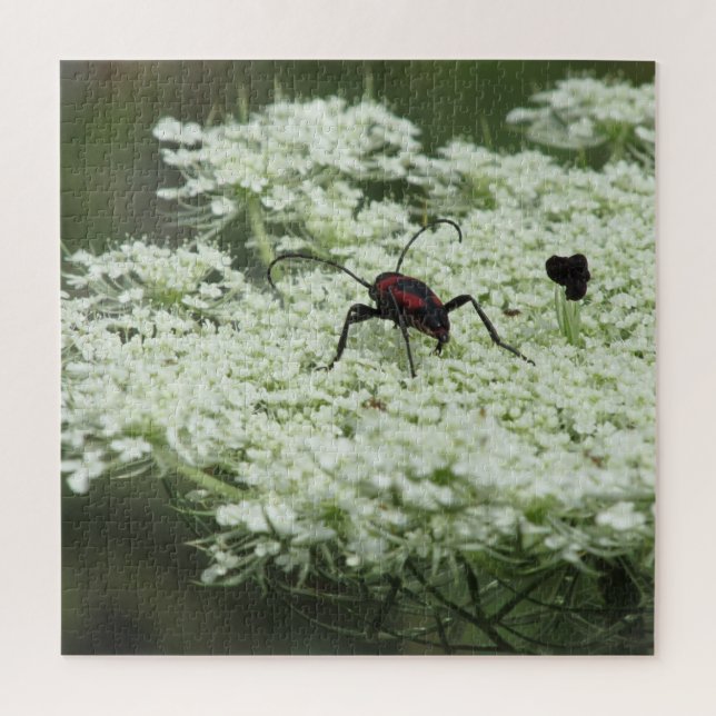 Insekt auf dem Elderflower Jigsaw Puzzle (Vertikal)