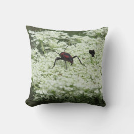 Insekt auf Elderflower Kissen