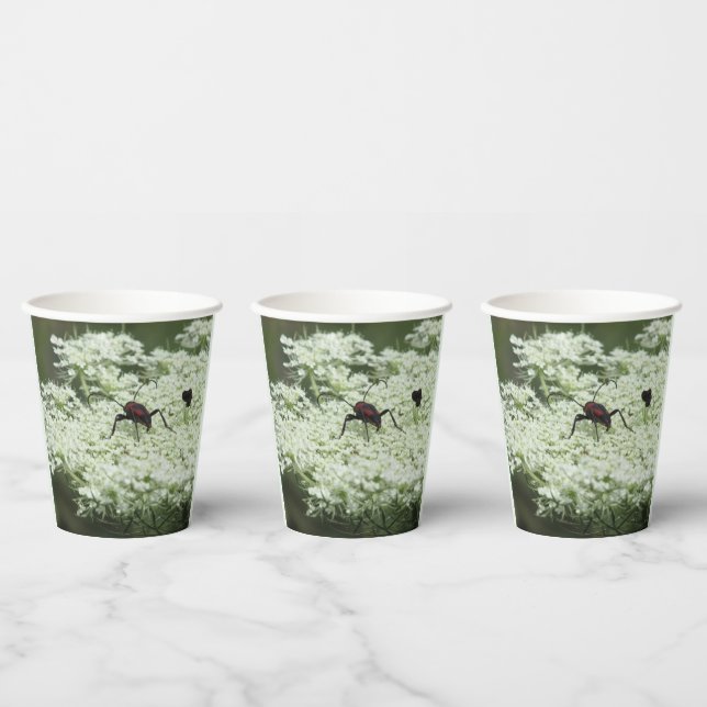 Insekt auf Elderflower Pappbecher (Multi)