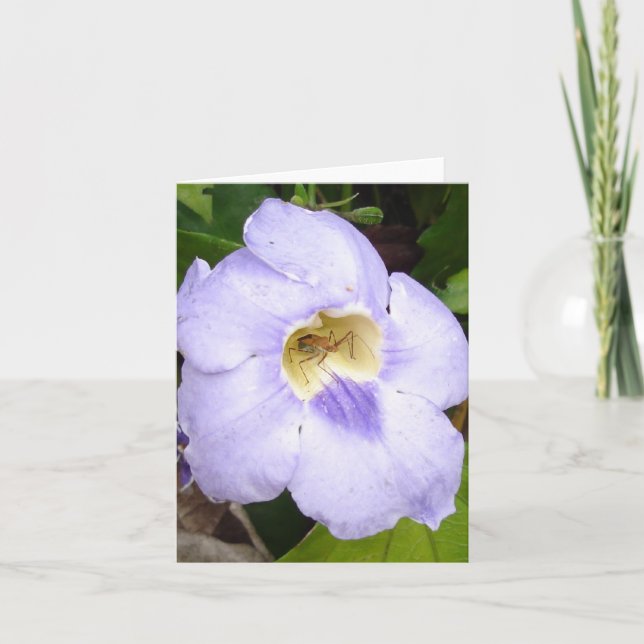 Insekt in Residence floral card v2 Karte (Vorderseite)