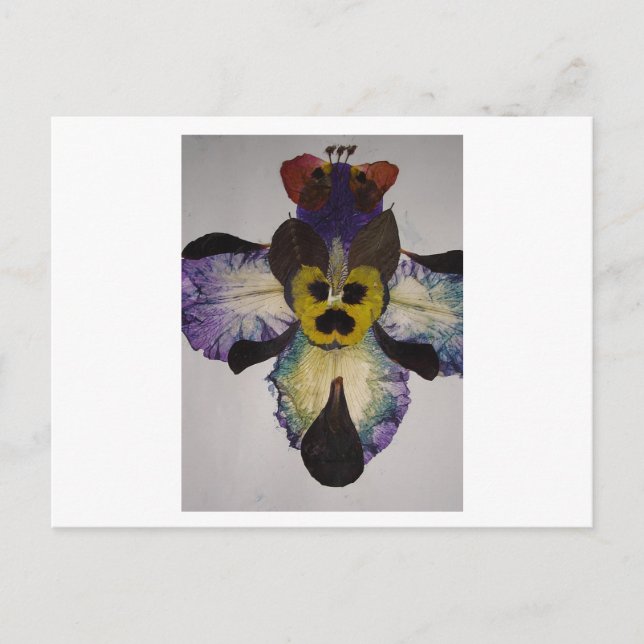 Insekt Postkarte (Vorderseite)