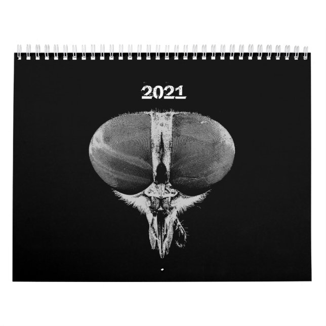 Insekten - Beutel - Heimtierinsekten Kalender (Titelbild)