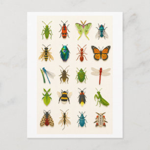 Insekten-Collage-Illustration Postkarte