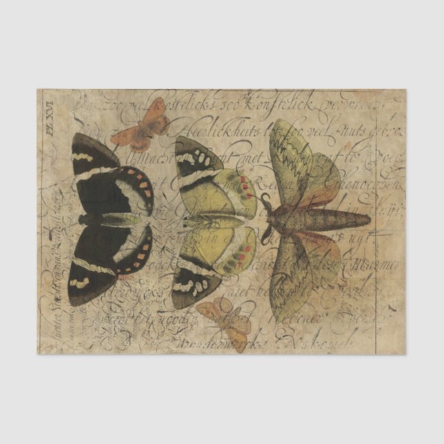 Insekten-Collage No.501 Seidenpapier (Vorderseite)