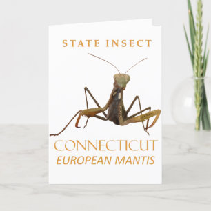 Insekten der europäischen Mantis Feiertagskarte