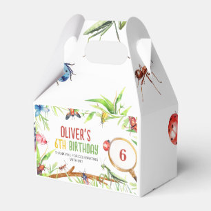 Insekten-Geburtstags-Geschenkbox Geschenkschachtel