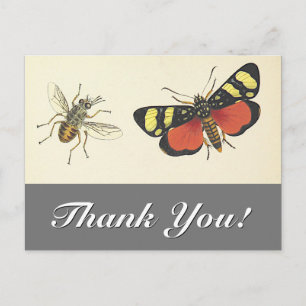 Insekten im Vintage-Look "Danke!" Postkarte