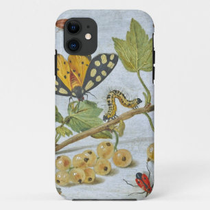 Insekten-Kriechen Case-Mate iPhone Hülle