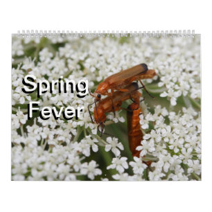 Insekten Macros 2022 Kalender