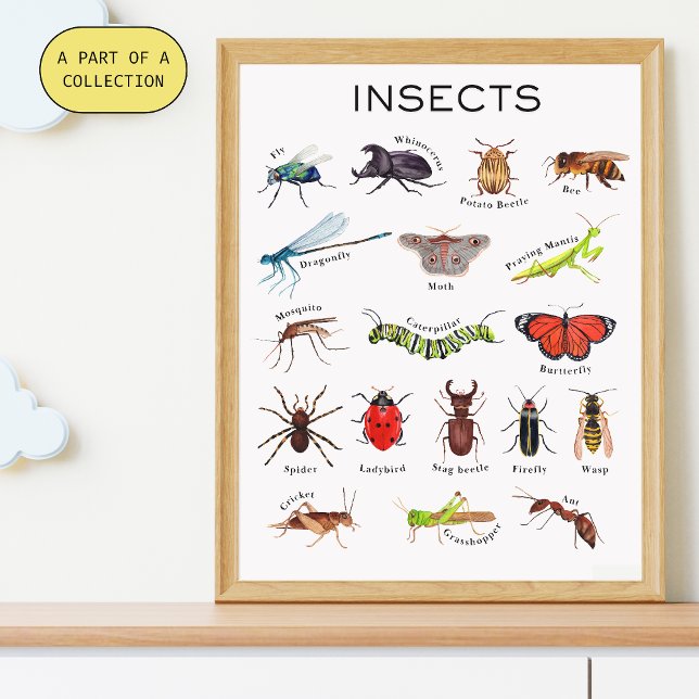 Insekten-Poster Poster (Von Creator hochgeladen)