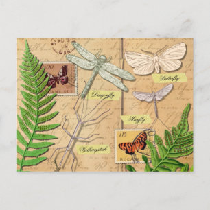 Insekten und der Tüpfelfarn Postkarte