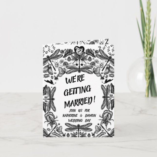 Insekten und Käfer (Vorderseite)