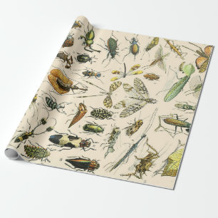 Insekten und Käfer Geschenkpapier