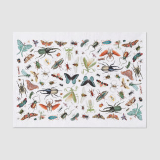 Insekten und Schmetterlinge Vintage BuchIllustrati Seidenpapier
