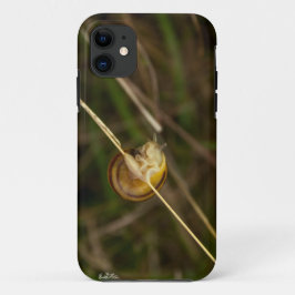Insektenphoto in einer Schale auf einem Gras Case-Mate iPhone Hülle