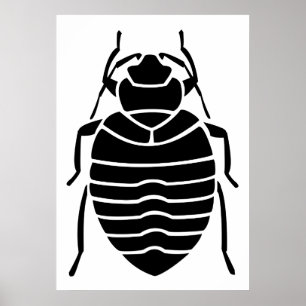 Insektenposter Poster