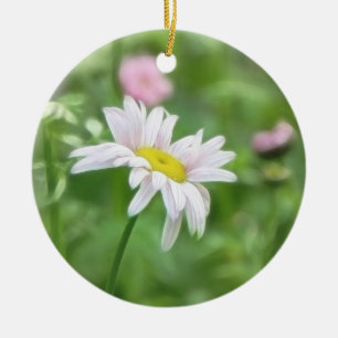 Insektenpulver-Gänseblümchen - Tanacetum coccine Keramik Ornament