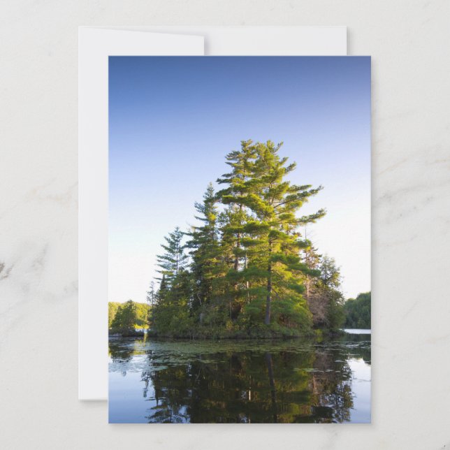 Insel am Lago Long Pond Dankeskarte (Vorderseite)