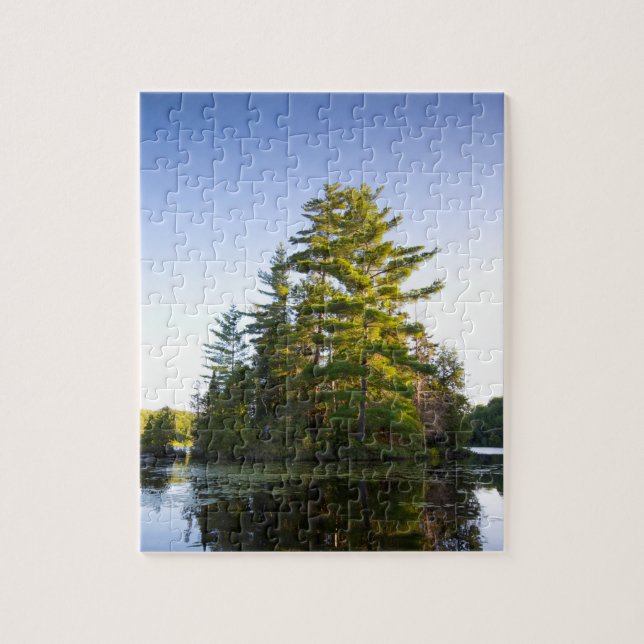 Insel am Lago Long Pond Puzzle (Vertikal)