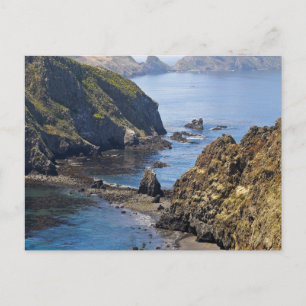 Insel Anacapa Postkarte