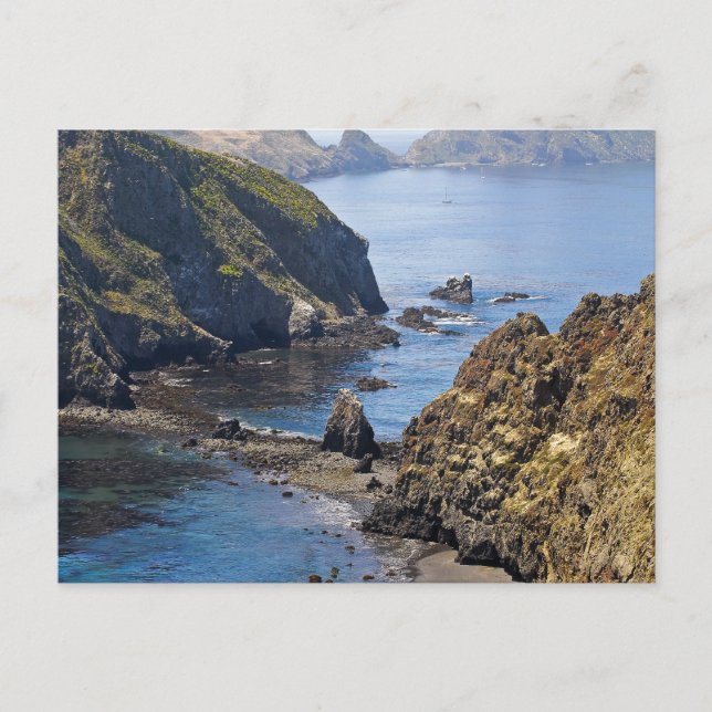 Insel Anacapa Postkarte (Vorderseite)