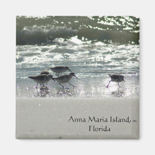 Insel Annas Maria, Florida Magnet