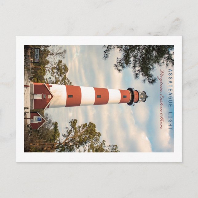 Insel Assateague. Postkarte (Vorderseite)