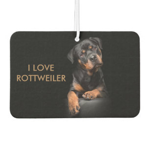 Insel Breeze Landschaft Rectangle Air Rottweiler Autolufterfrischer