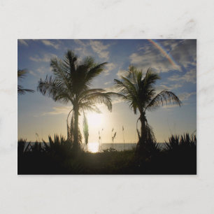 Insel Captiva Postkarte