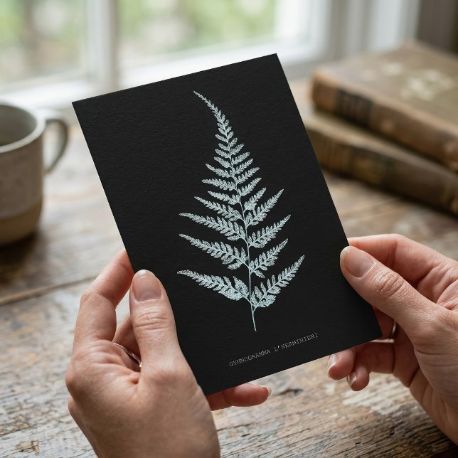 Insel-Goldrückenfarn, Pityrogramma chrysophylla Postkarte (Island Goldback Fern, Pityrogramma chrysophylla. Postcard )