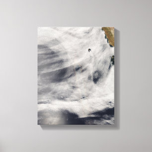 Insel Guadalupe Leinwanddruck