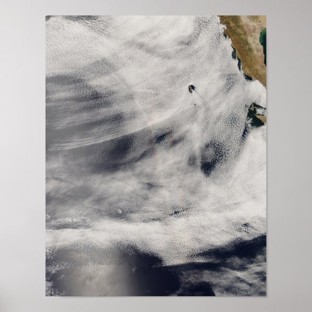 Insel Guadalupe Poster (Vorne)