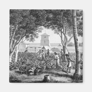 Insel Guam: Einheimische bei der Arbeit im Garten  Magnet