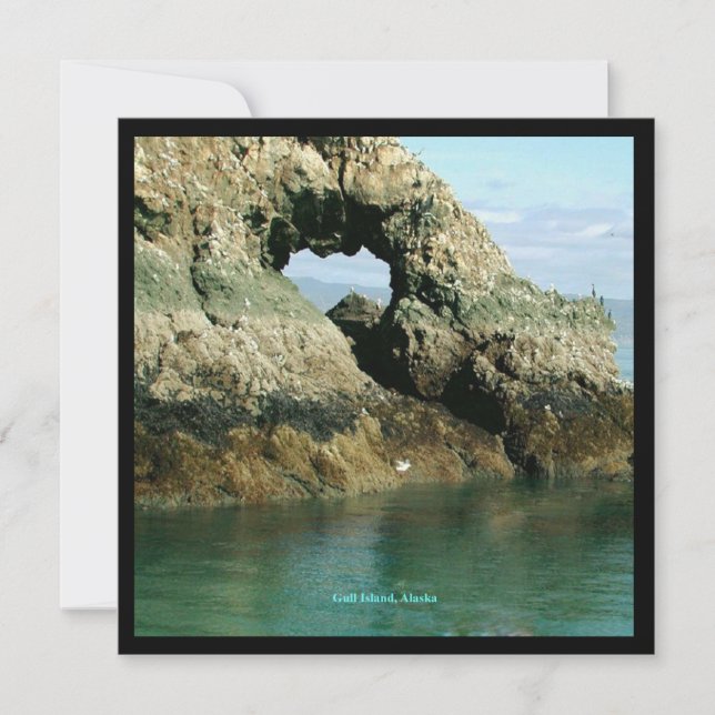 Insel Gull, Alaska Einladung (Vorderseite)