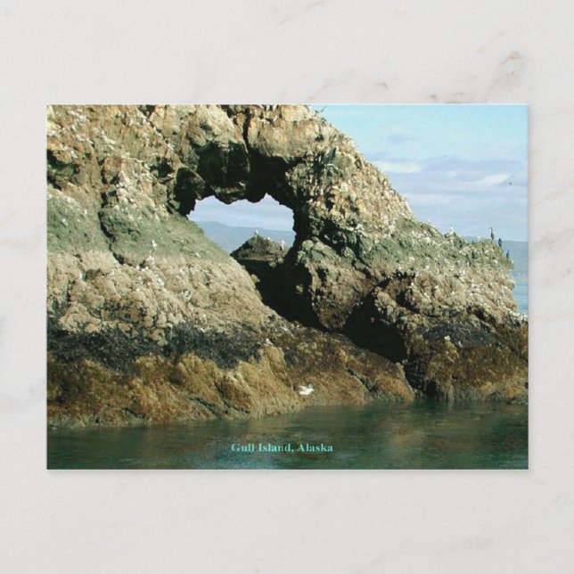 Insel Gull, Alaska Postkarte (Vorderseite)